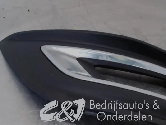 Cover plate fog light, left Ford Tourneo Custom