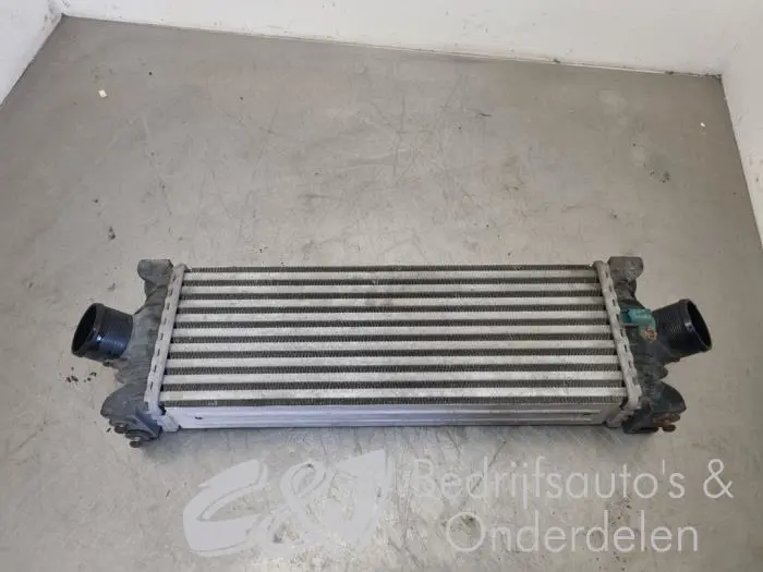 Cooling set Ford Transit