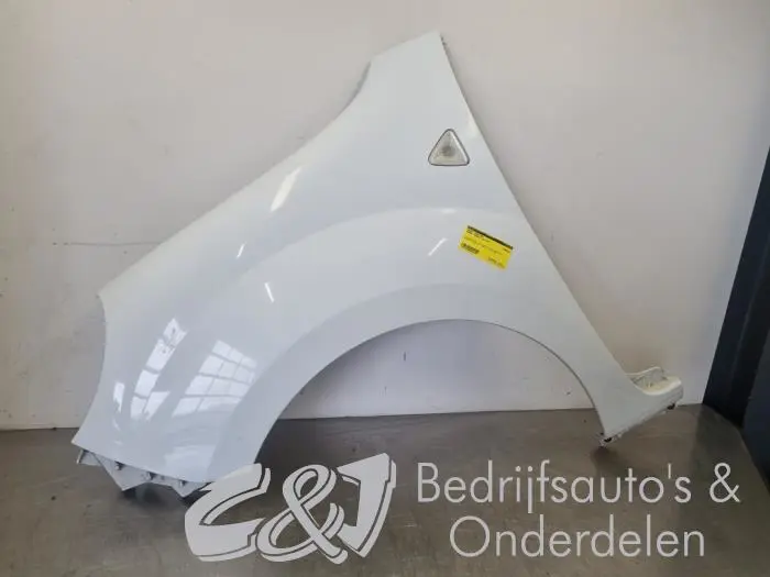 Front wing, left Renault Kangoo