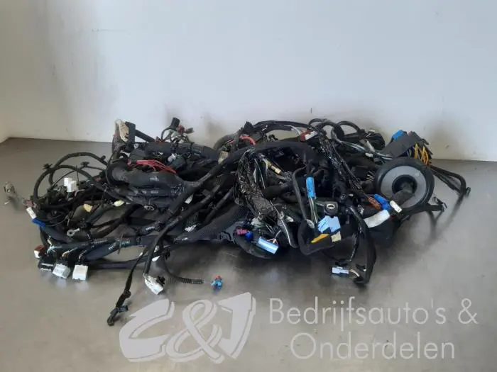 Wiring harness Renault Trafic