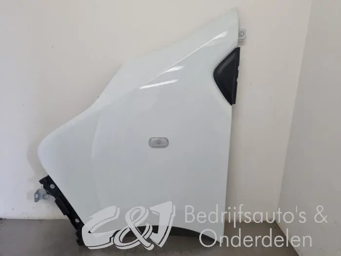 Scherm links-voor Renault Trafic